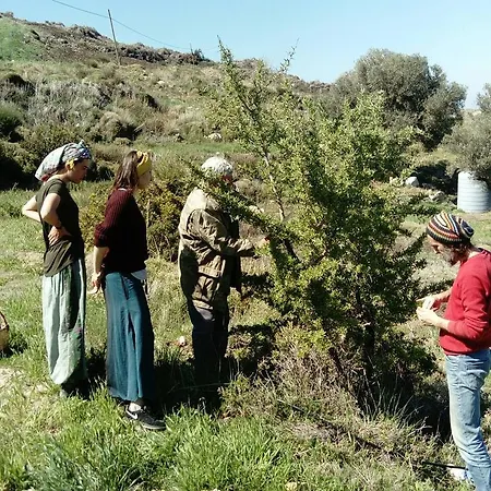 Furma Ekolojik Yasam Ciftligi Karaburun (Izmir)