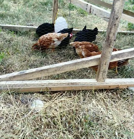 Lantgård Furma Ekolojik Yasam Ciftligi Karaburun (Izmir)